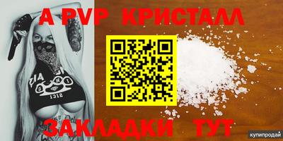 ECSTASY Аргун