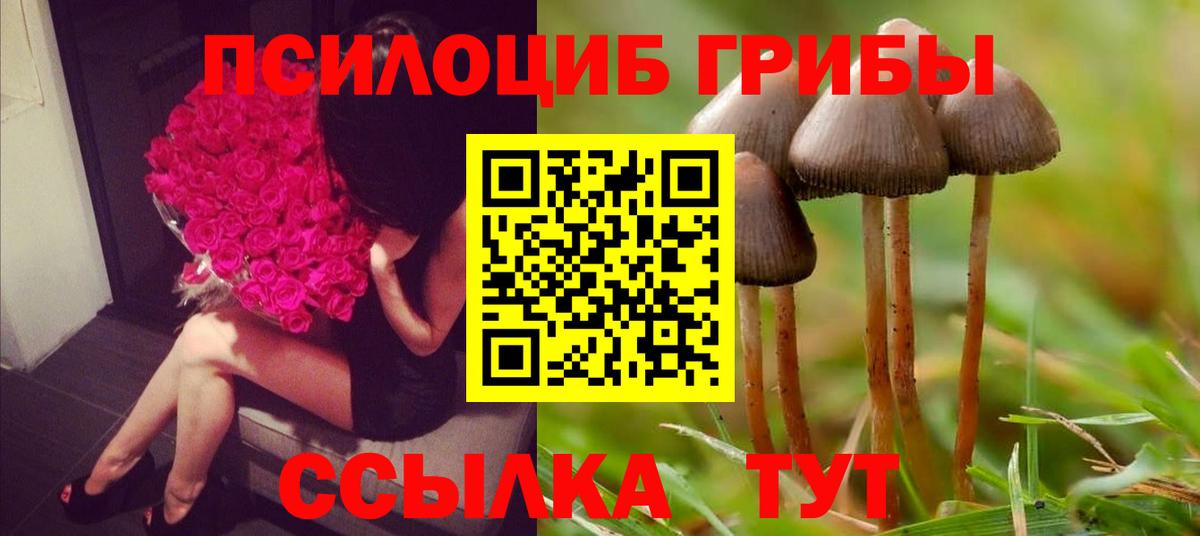 Псилоцибиновые грибы Psilocybine cubensis  Вход с VPN  Галлюциногенные грибы Magic Shrooms  Верхняя Пышма 